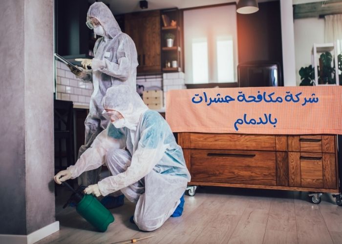 شركة مكافحة حشرات بالدمام